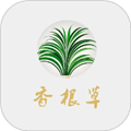香根草官方版