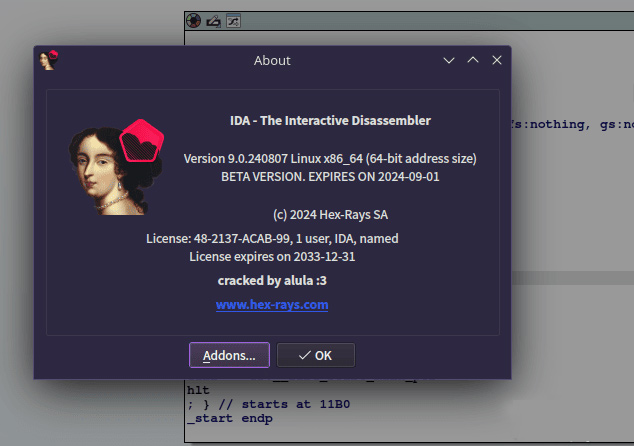 ida pro 9.0官方版