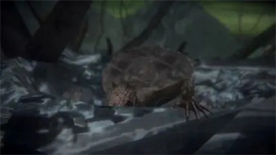 帕斯卡契约手游官方最新版