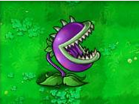 植物大战僵尸北美XI版