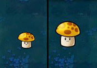 植物大战僵尸北美XI版