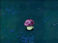 植物大战僵尸北美XI版