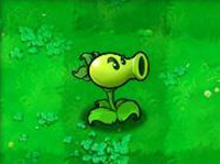 植物大战僵尸北美XI版