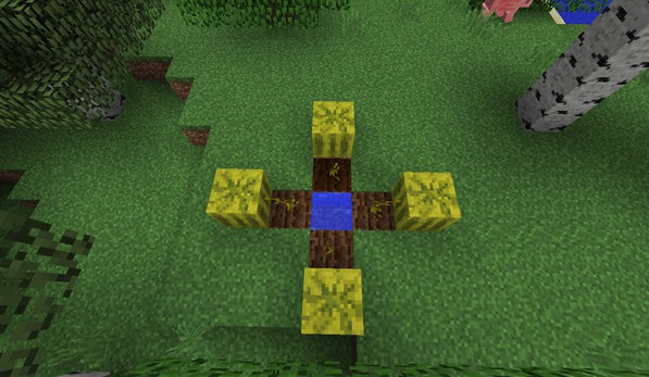 我的世界国际版正式版手机版