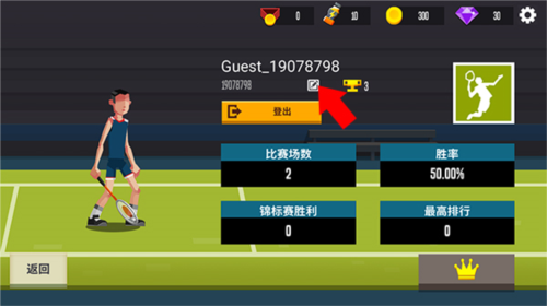 羽毛球高高手国际服官方版