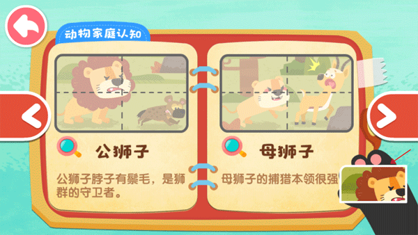 奇妙的动物家庭游戏