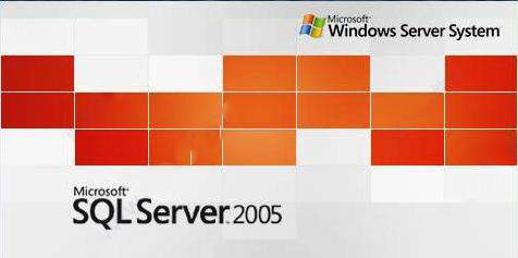 Microsoft SQL Server 2005精简版