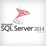 Microsoft SQL Server 2014企业版