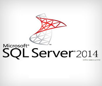 Microsoft SQL Server 2014企业版