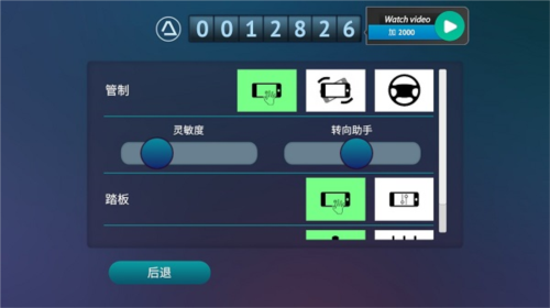 真人汽车驾驶德国