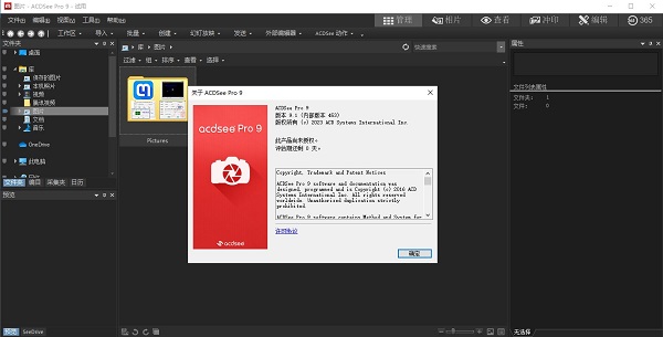ACDSee Pro 9中文版