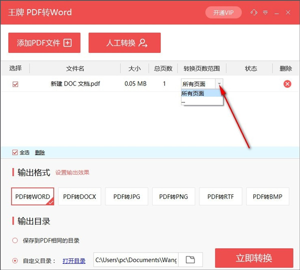 王牌PDF转换器