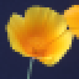 Focus Magic(相片复原工具)