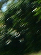 Focus Magic(相片复原工具)