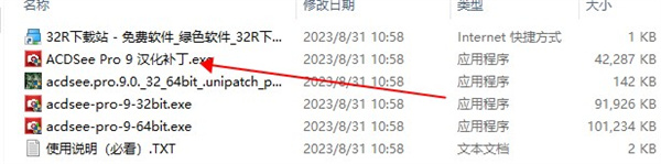 ACDSee Pro 9中文版