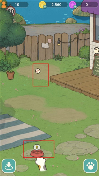 神秘猫咪字典中文版