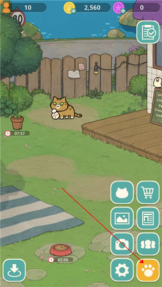 神秘猫咪字典中文版