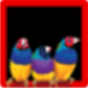 ViewSonic ViewSplit(优派显示器分屏工具)